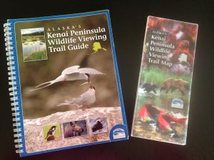 KenaiWildlifeGuide