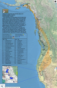 April 2018 – Kachemak Bay Birders